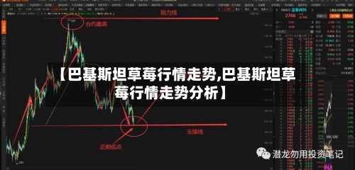 【巴基斯坦草莓行情走势,巴基斯坦草莓行情走势分析】-第2张图片