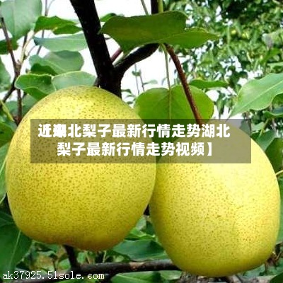 近来
【湖北梨子最新行情走势湖北梨子最新行情走势视频】