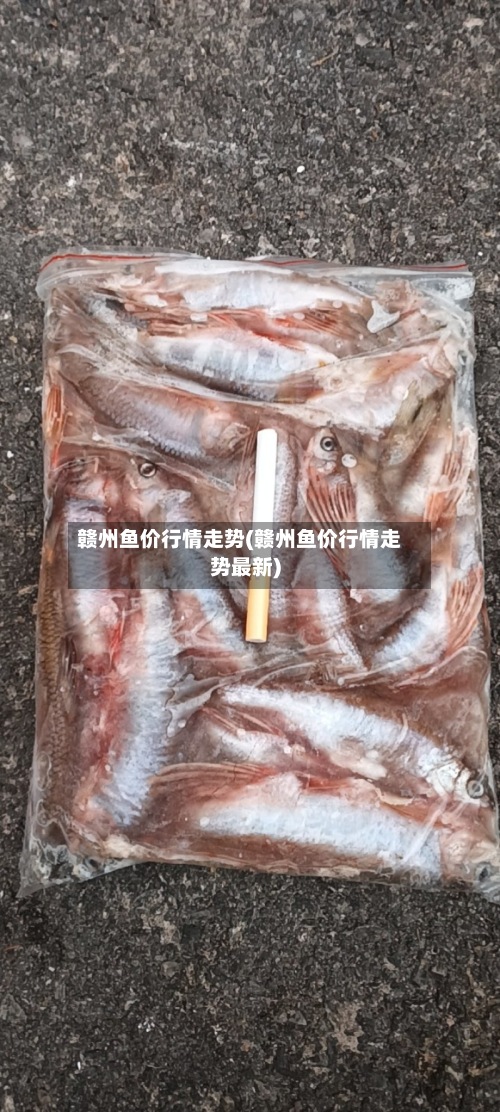 赣州鱼价行情走势(赣州鱼价行情走势最新)