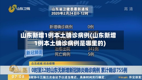 山东新增1例本土确诊病例(山东新增1例本土确诊病例是哪里的)-第3张图片