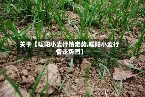 关于【暖阳小麦行情走势,暖阳小麦行情走势图】