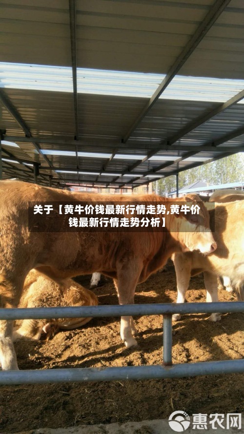 关于【黄牛价钱最新行情走势,黄牛价钱最新行情走势分析】