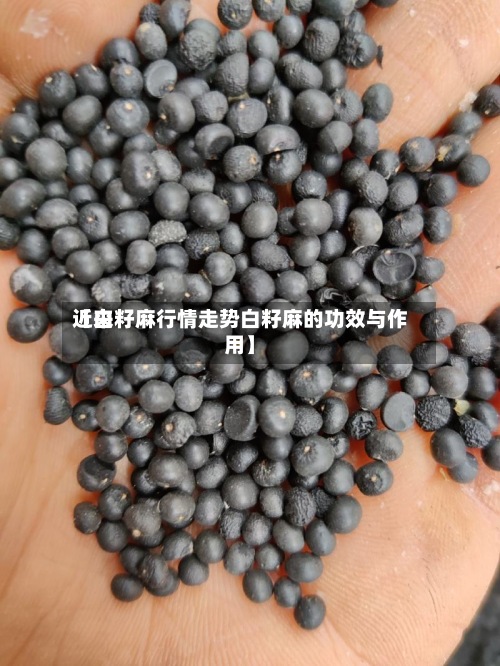 近来
【白籽麻行情走势白籽麻的功效与作用】