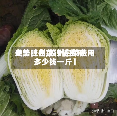 关于【白菜行情费用
走势胶州,胶州白菜费用
多少钱一斤】-第2张图片