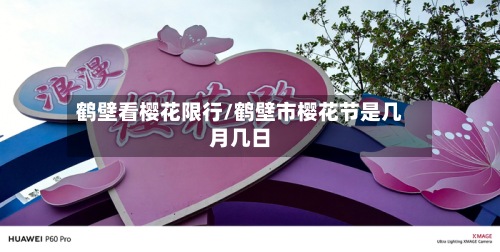 鹤壁看樱花限行/鹤壁市樱花节是几月几日