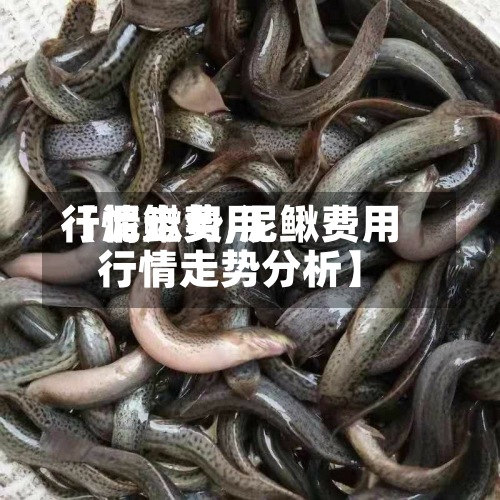 【泥鳅费用
行情走势,泥鳅费用
行情走势分析】