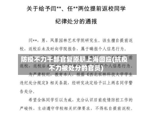 防疫不力干部官复原职上海回应(抗疫不力被处分的官员)-第2张图片