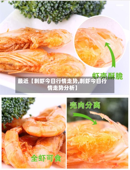 最近【刺虾今日行情走势,刺虾今日行情走势分析】