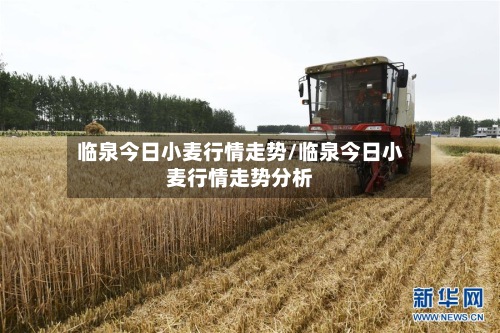 临泉今日小麦行情走势/临泉今日小麦行情走势分析-第3张图片