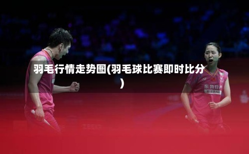 羽毛行情走势图(羽毛球比赛即时比分)