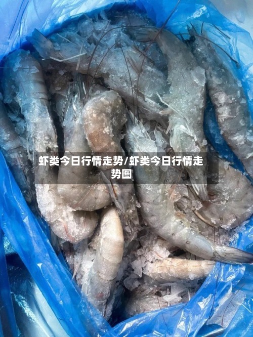 虾类今日行情走势/虾类今日行情走势图