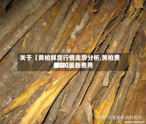 关于【黄柏鲜货行情走势分析,黄柏费用2020最新费用新鲜】-第2张图片