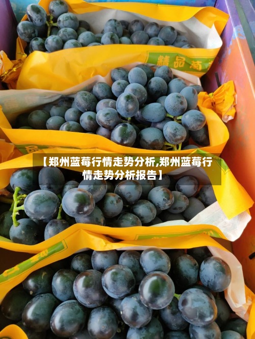 【郑州蓝莓行情走势分析,郑州蓝莓行情走势分析报告】-第3张图片