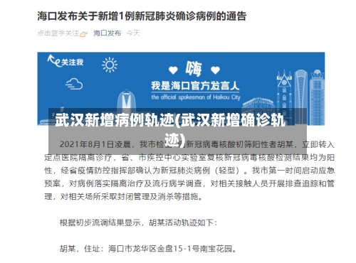 武汉新增病例轨迹(武汉新增确诊轨迹)-第3张图片
