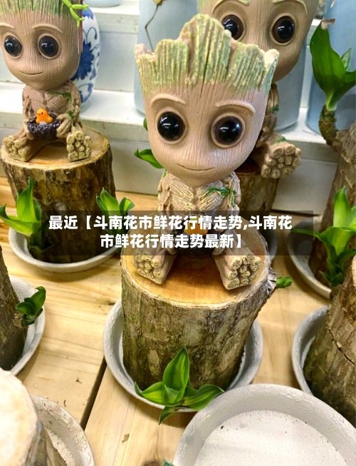 最近【斗南花市鲜花行情走势,斗南花市鲜花行情走势最新】