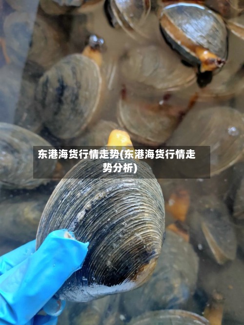 东港海货行情走势(东港海货行情走势分析)