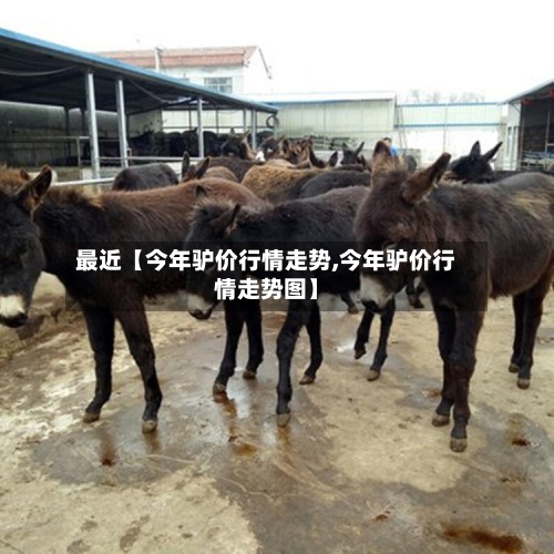 最近【今年驴价行情走势,今年驴价行情走势图】-第2张图片