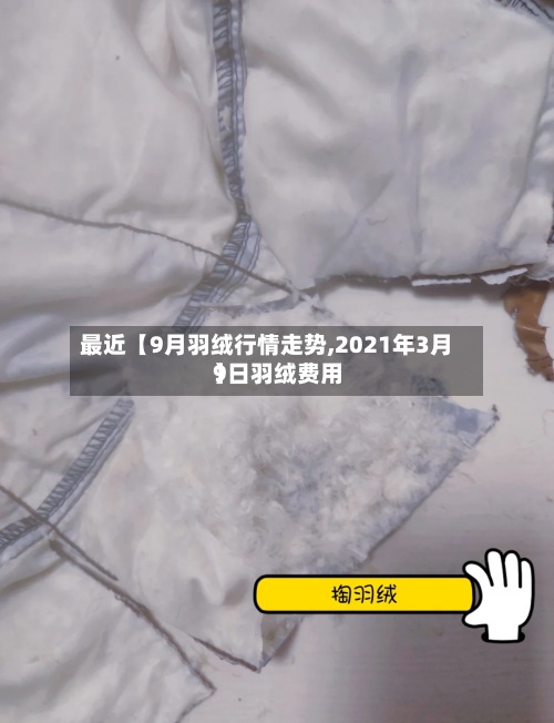 最近【9月羽绒行情走势,2021年3月9日羽绒费用】-第2张图片