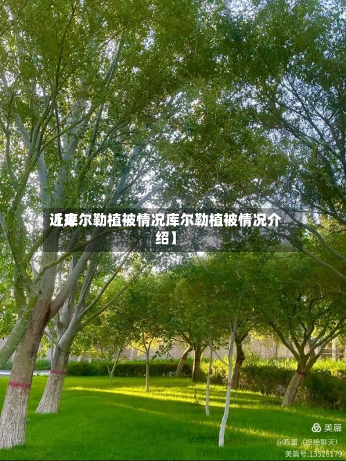 近来
【库尔勒植被情况库尔勒植被情况介绍】-第3张图片