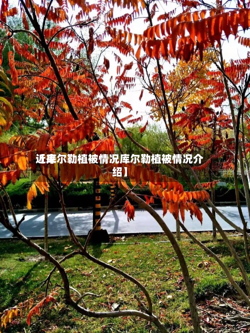 近来
【库尔勒植被情况库尔勒植被情况介绍】-第2张图片