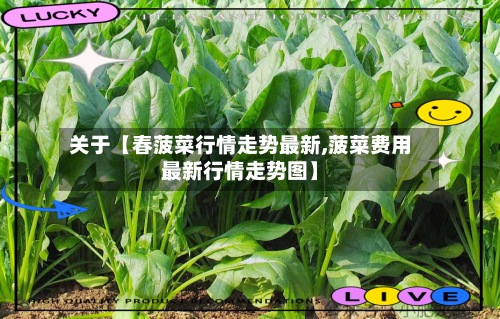关于【春菠菜行情走势最新,菠菜费用
最新行情走势图】