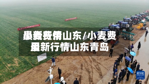 小麦费用
最新行情山东/小麦费用
最新行情山东青岛