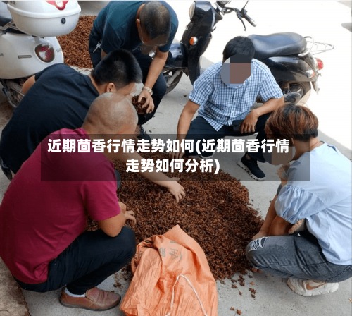 近期茴香行情走势如何(近期茴香行情走势如何分析)