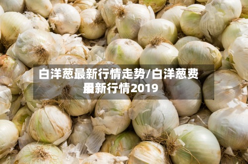 白洋葱最新行情走势/白洋葱费用
最新行情2019