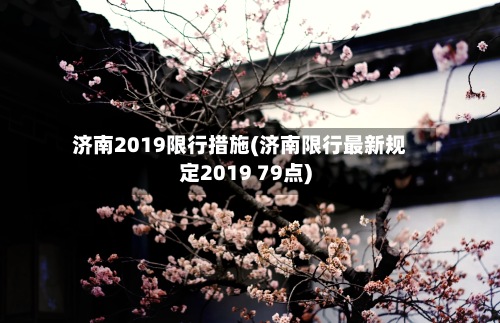 济南2019限行措施(济南限行最新规定2019 79点)