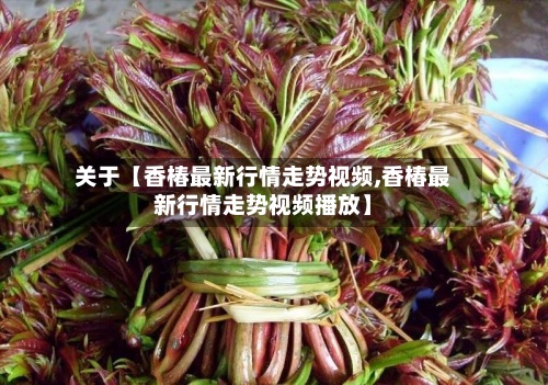 关于【香椿最新行情走势视频,香椿最新行情走势视频播放】-第3张图片