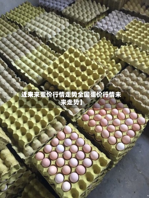 近来
【未来蛋价行情走势全国蛋价行情未来走势】