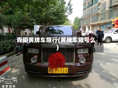 青阳黄牌车限行(黄牌车限号么)-第3张图片