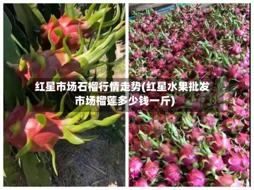红星市场石榴行情走势(红星水果批发市场榴莲多少钱一斤)-第3张图片