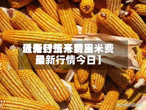 近来【开封玉米费用最新行情开封玉米费用最新行情今日】-第3张图片