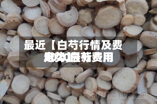 最近【白芍行情及费用走势,白芍费用2020最新费用走势】
