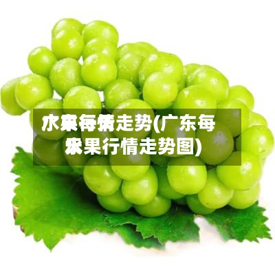 广东每天
水果行情走势(广东每天
水果行情走势图)