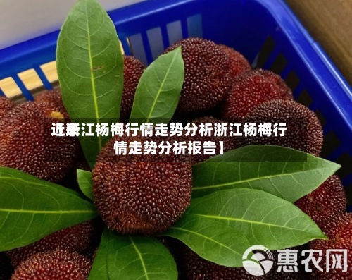 近来【浙江杨梅行情走势分析浙江杨梅行情走势分析报告】