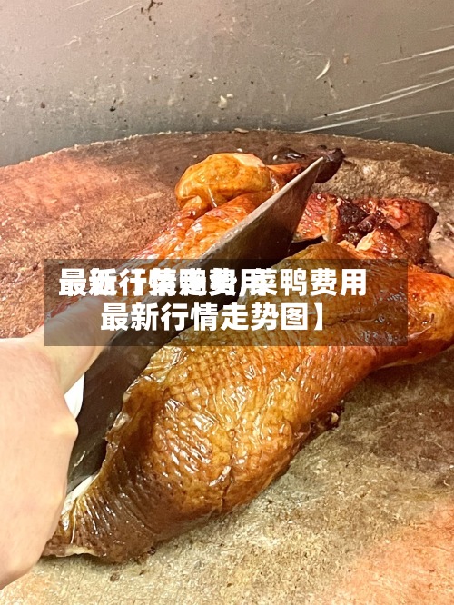最近【菜鸭费用
最新行情走势,菜鸭费用
最新行情走势图】
