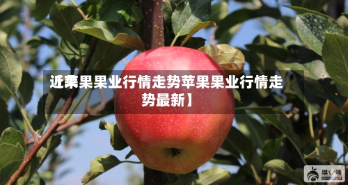 近来【苹果果业行情走势苹果果业行情走势最新】