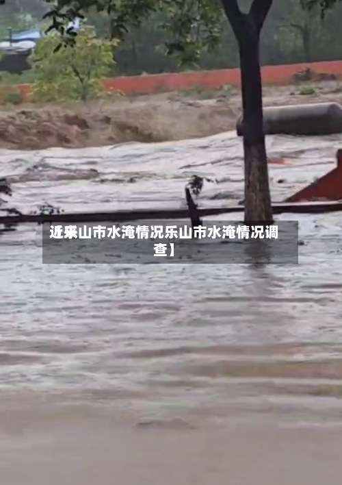 近来【乐山市水淹情况乐山市水淹情况调查】-第2张图片