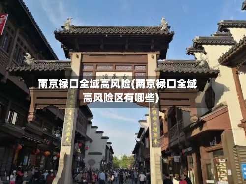 南京禄口全域高风险(南京禄口全域高风险区有哪些)-第3张图片