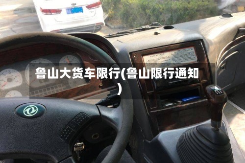 鲁山大货车限行(鲁山限行通知)-第2张图片