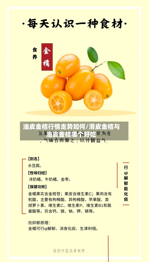 油皮金桔行情走势如何/滑皮金桔与油皮金桔哪个好吃-第3张图片