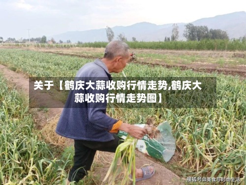 关于【鹤庆大蒜收购行情走势,鹤庆大蒜收购行情走势图】