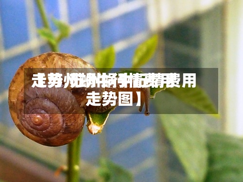 【苏州蜗牛行情费用
走势,苏州蜗牛行情费用
走势图】