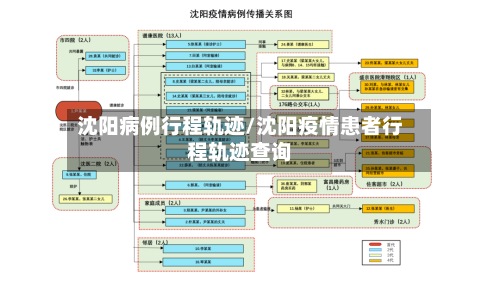沈阳病例行程轨迹/沈阳疫情患者行程轨迹查询-第2张图片