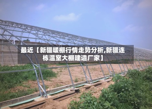 最近【新疆暖棚行情走势分析,新疆连栋温室大棚建造厂家】-第2张图片