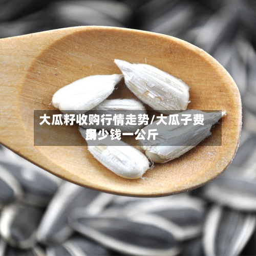 大瓜籽收购行情走势/大瓜子费用
多少钱一公斤