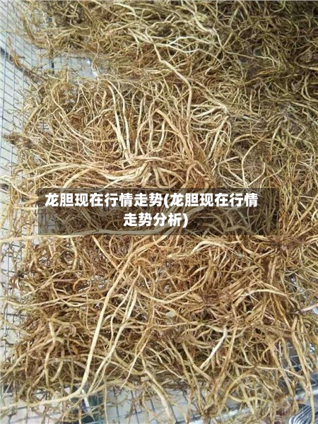 龙胆现在行情走势(龙胆现在行情走势分析)-第2张图片