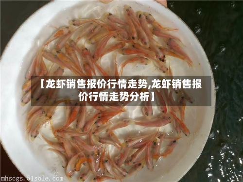 【龙虾销售报价行情走势,龙虾销售报价行情走势分析】